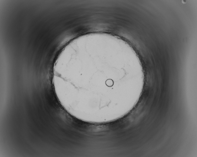 X0000086761314200705111707