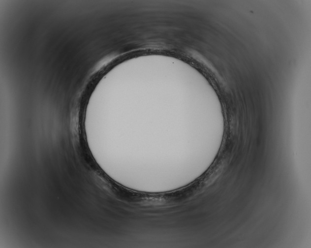 X0000086761315200705111707