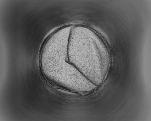 X0000086761316200705111707