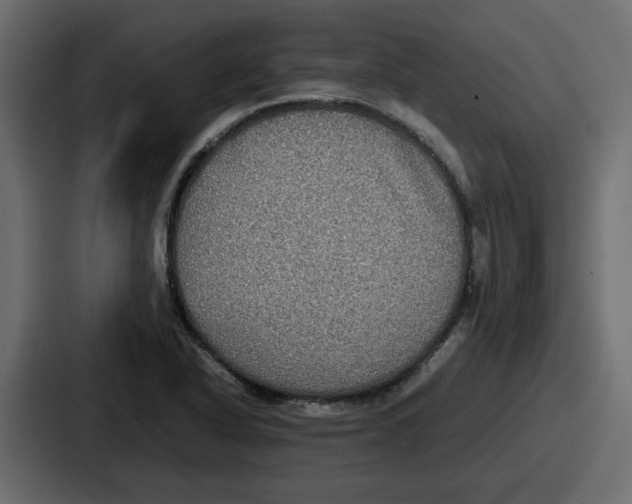 X0000086761318200705111707