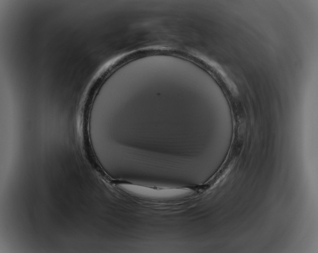 X0000086761319200705111707