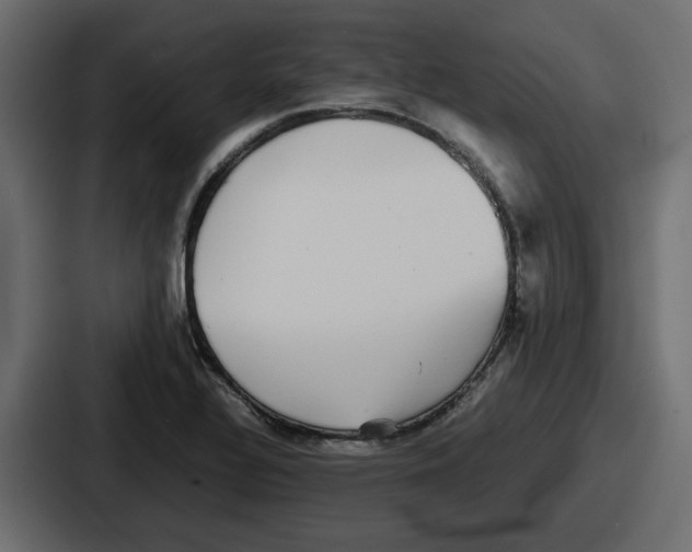 X0000086761320200705111707