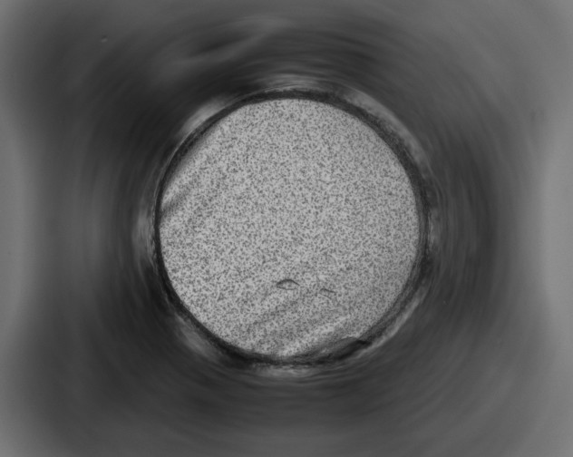 X0000086761321200705111707