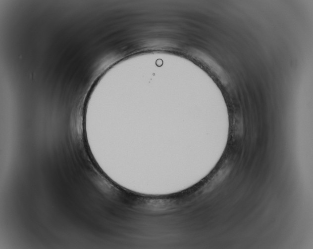 X0000086761322200705111707