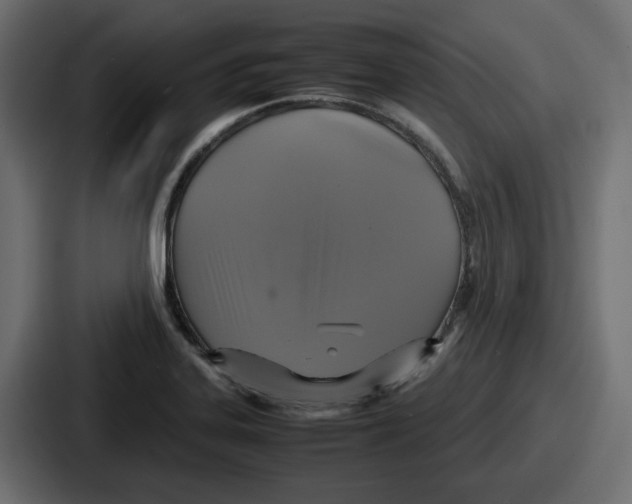 X0000086761323200705111707