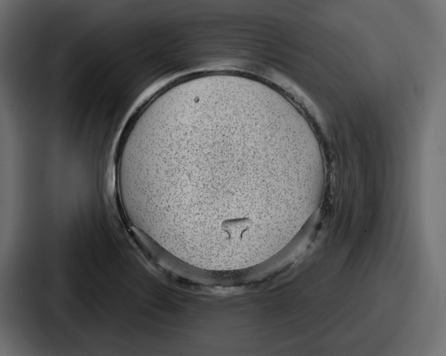 X0000086761324200705111707