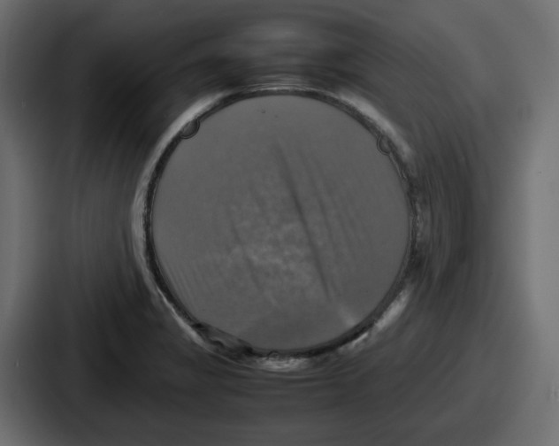 X0000086761325200705111707