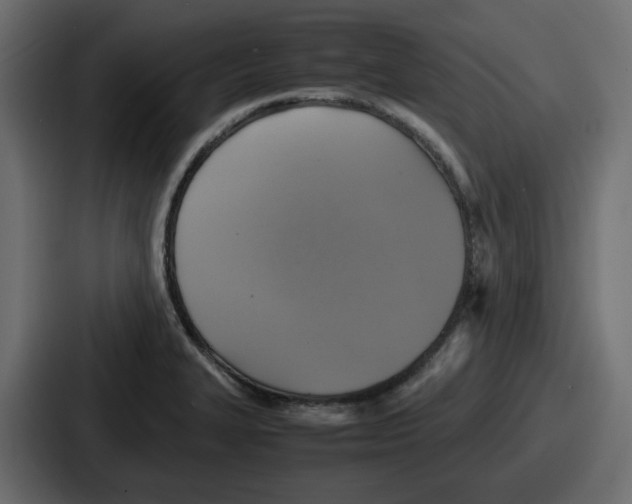 X0000086761327200705111707