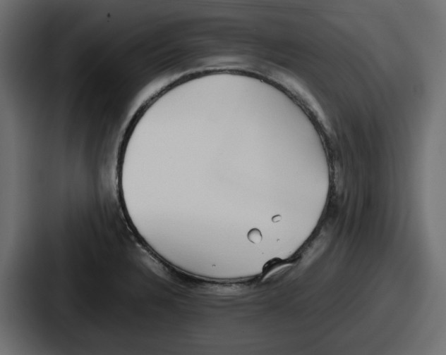 X0000086761328200705111707