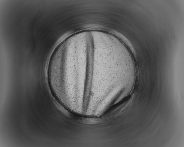 X0000086761330200705111707