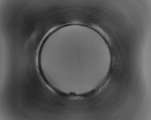 X0000086761331200705111707