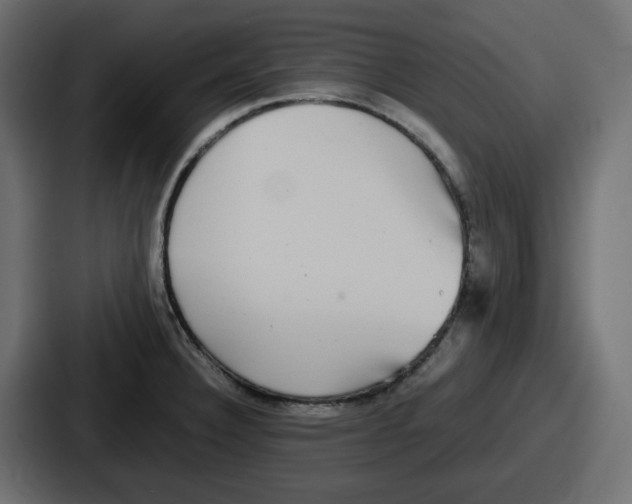 X0000086761332200705111707