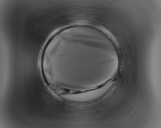 X0000086761334200705111707