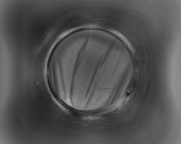 X0000086761335200705111707