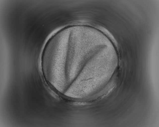 X0000086761336200705111707