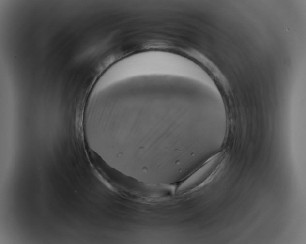 X0000086761337200705111707