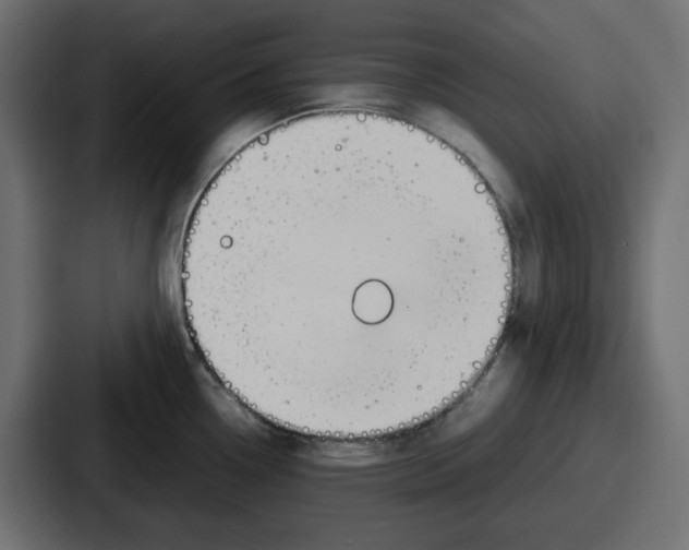 X0000086761338200705111707