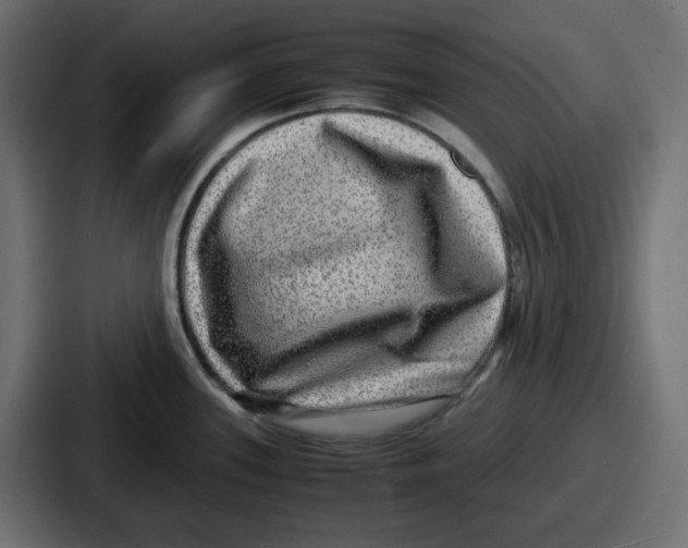 X0000086761339200705111707