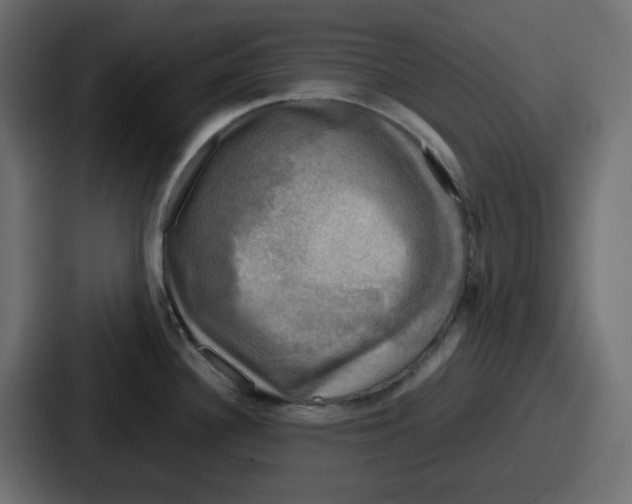 X0000086761340200705111707