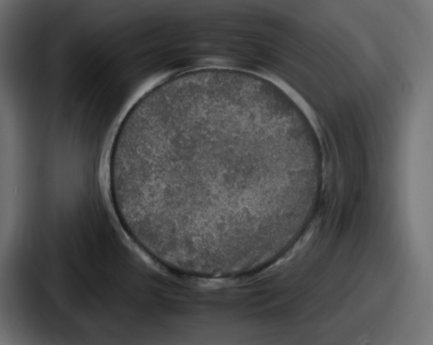 X0000086761341200705111707