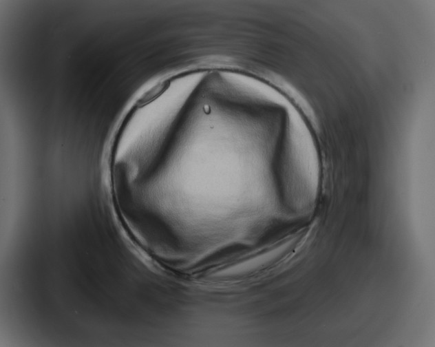 X0000086761342200705111707