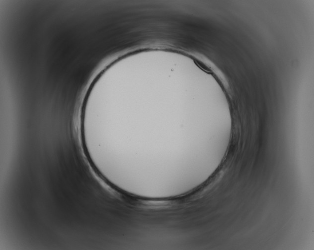 X0000086761343200705111707