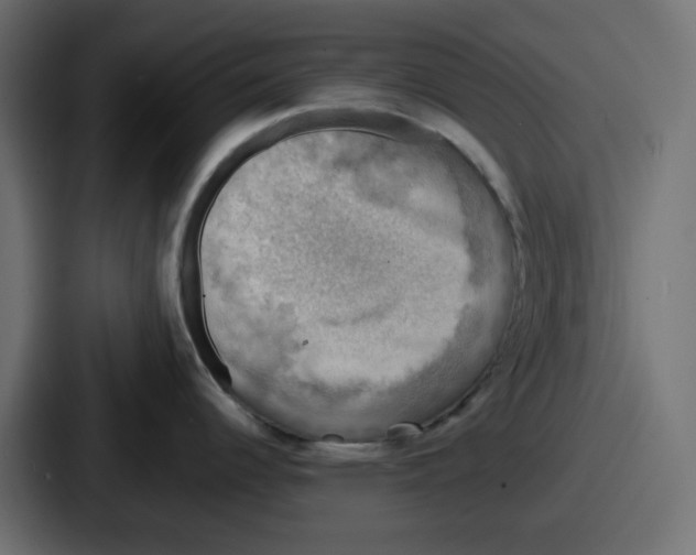 X0000086761344200705111707