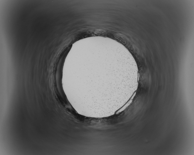 X0000086761345200705111707