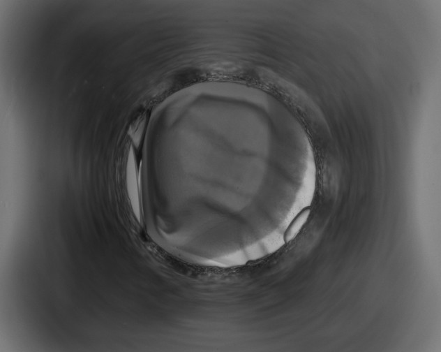 X0000086761346200705111707