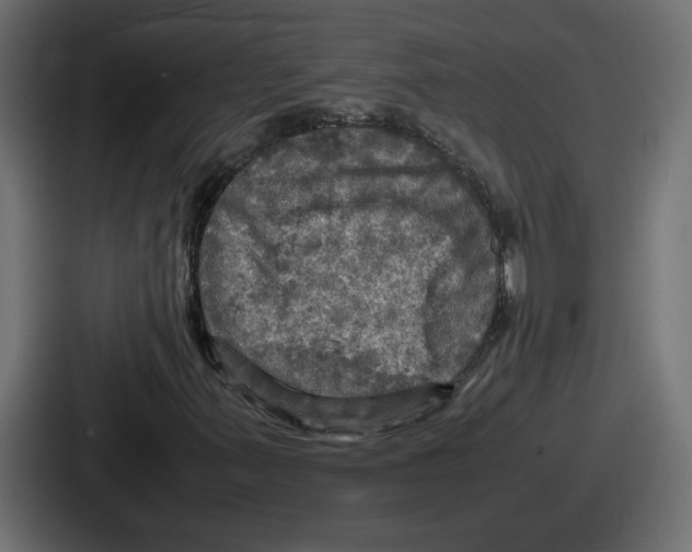 X0000086761347200705111707