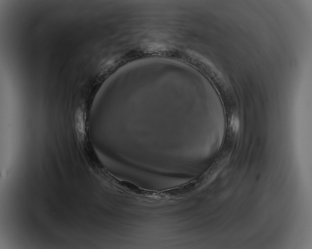 X0000086761348200705111707