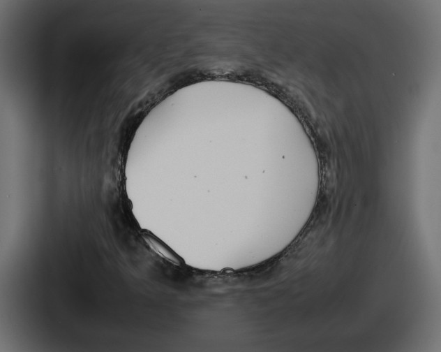 X0000086761349200705111707