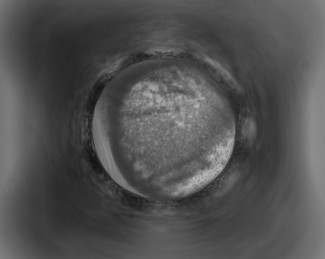 X0000086761350200705111707