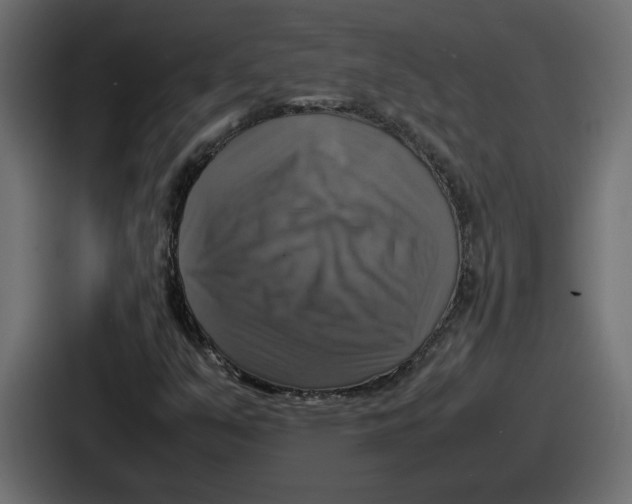 X0000086761351200705111707