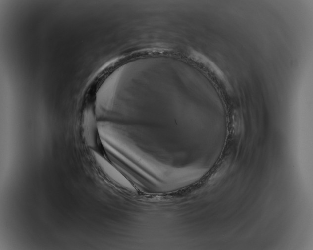 X0000086761352200705111707