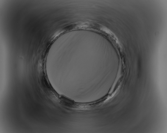 X0000086761353200705111707