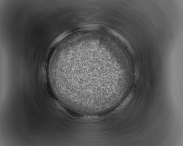 X0000086761354200705111707