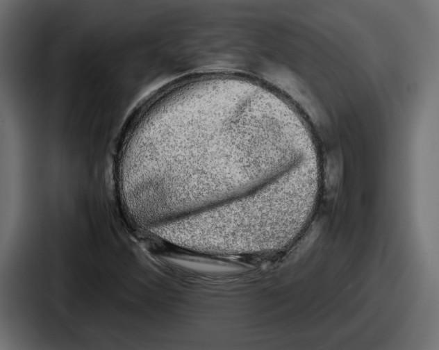 X0000086761356200705111707