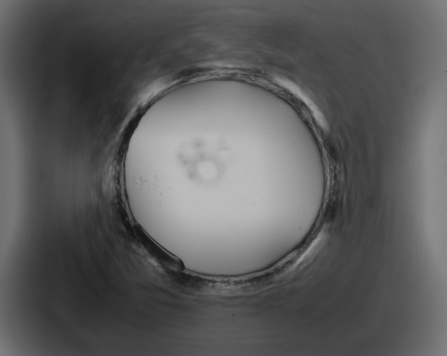 X0000086761357200705111707