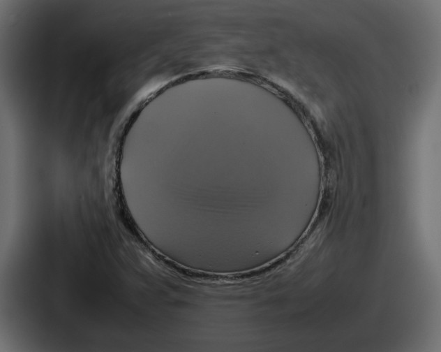 X0000086761359200705111707