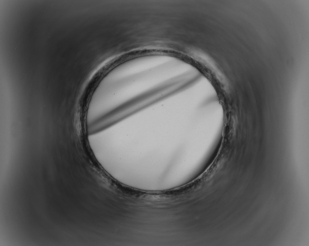 X0000086761360200705111707