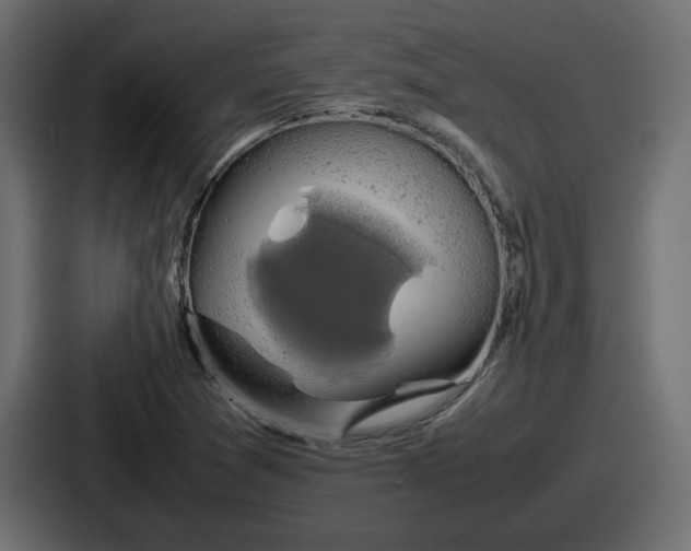 X0000086761361200705111707