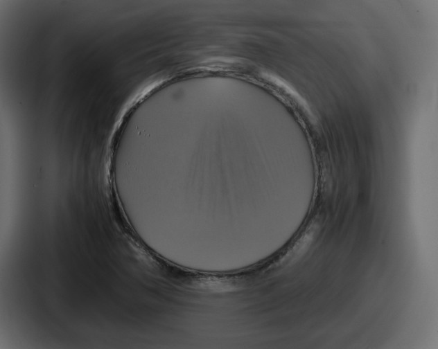 X0000086761362200705111707