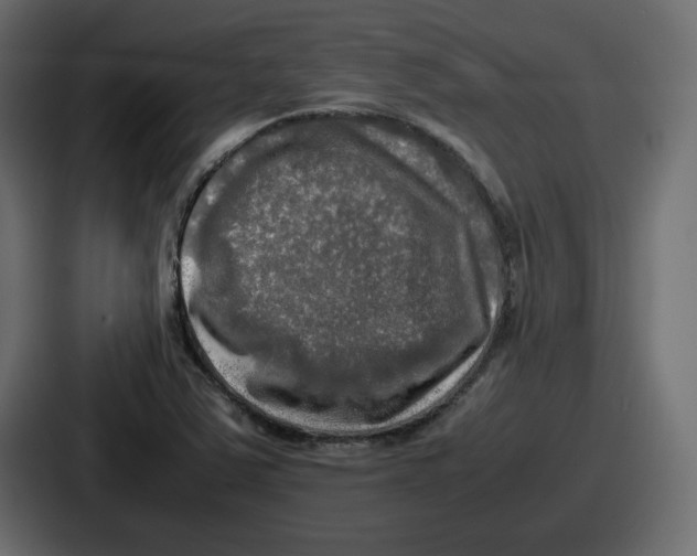 X0000086761363200705111706