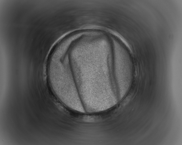 X0000086761364200705111706