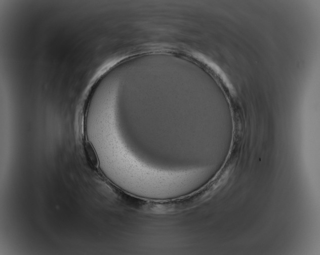 X0000086761365200705111706