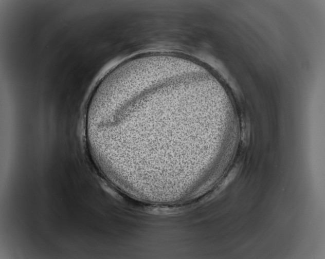 X0000086761366200705111706