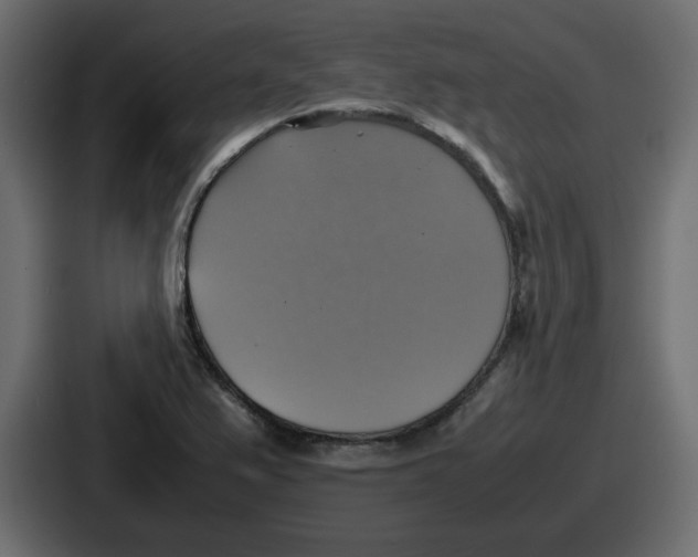 X0000086761367200705111706