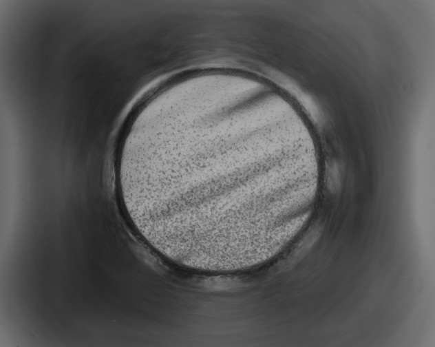 X0000086761368200705111706