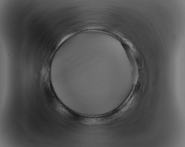 X0000086761369200705111706